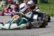 20110501_ales_agnus (2134)